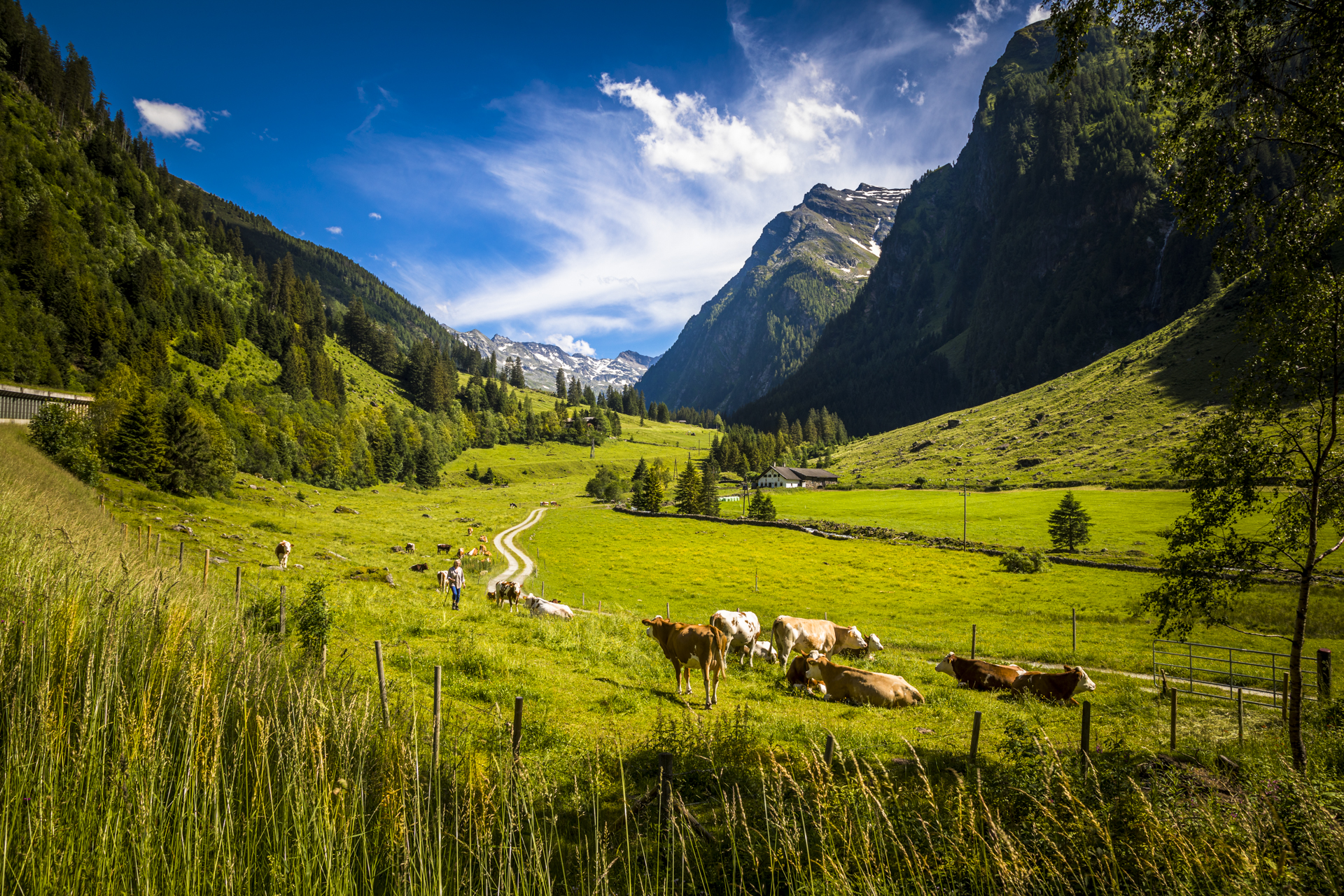 Wageralm — alte Singer-Nähmaschine